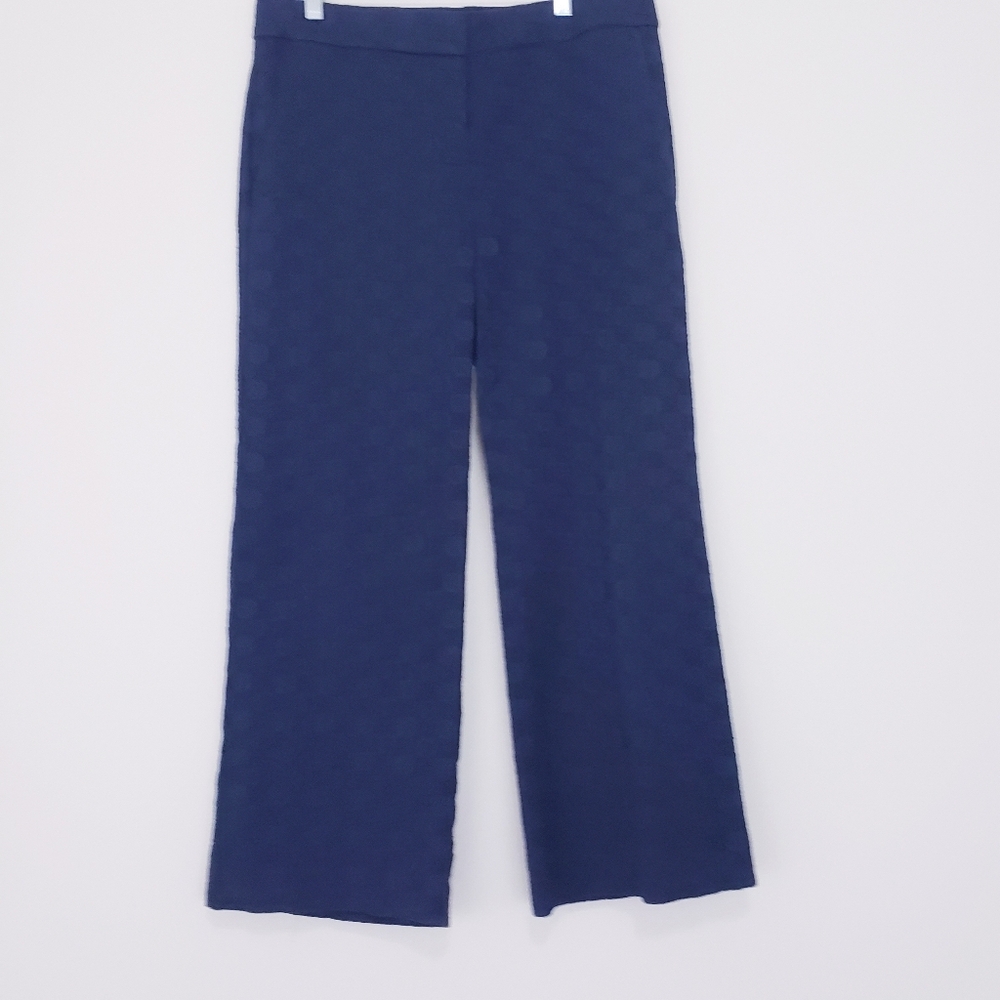 Ann Taylor The Cotton Crop Pants Eyelet In Navy Blue Night Sky Size 2 Dot - Picture 3 of 8